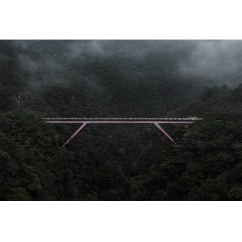 Julien Mauve - Untitled 16, L'Ile aux Libellules, 2017